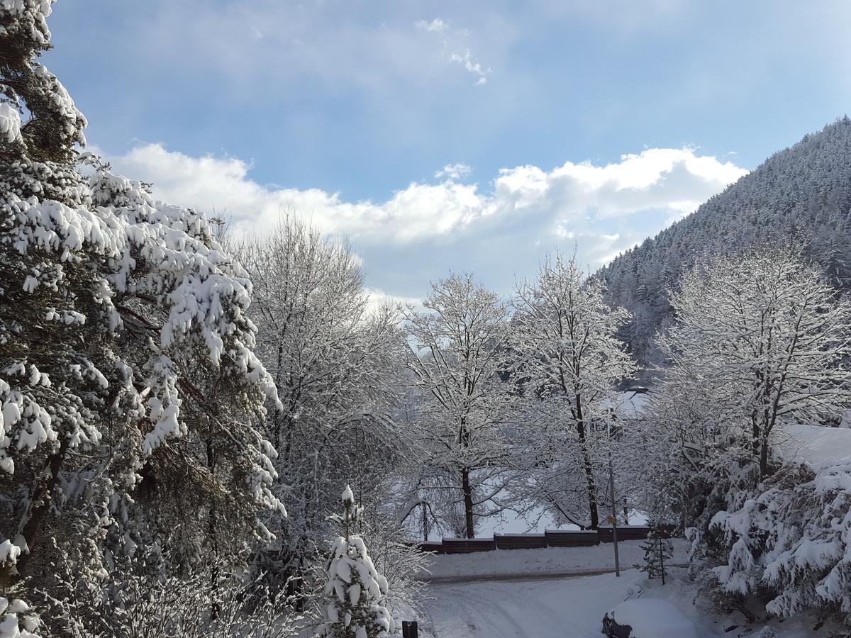 Residence Rienz Chienes Εξωτερικό φωτογραφία